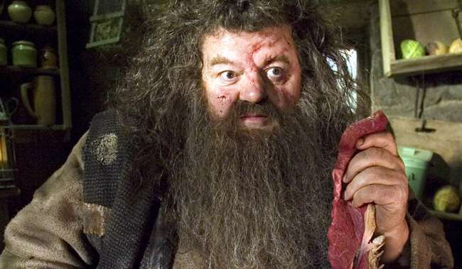 13-hagrid